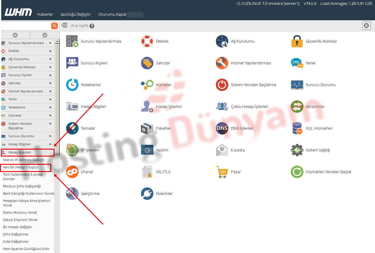 whm panel yeni alan adı ekleme