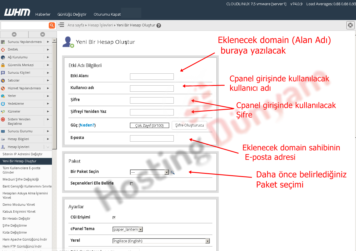 whm panel yeni domain ekleme