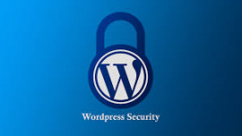 Wordpress SMS Doğrulama