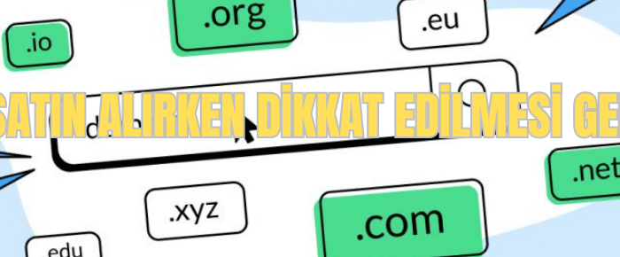 domain satin alirken dikkat edilmesi gerekenler
