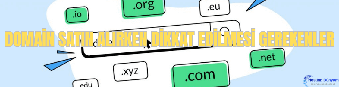 domain satin alirken dikkat edilmesi gerekenler