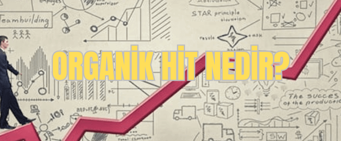 organik hit nedir