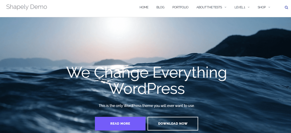 En Güzel WordPress Blog Temaları 7 Shapely