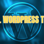 en guzel wordpress temalari