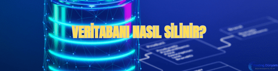 veritabani nasil silinir