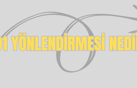 301 yönlendirme