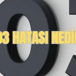 403 hatası nedir
