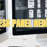 plesk panel nedir
