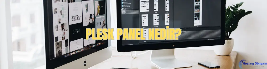 plesk panel nedir