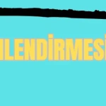 308 yönlendirmesi nedir