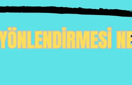308 yönlendirmesi nedir