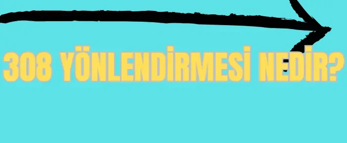 308 yönlendirmesi nedir