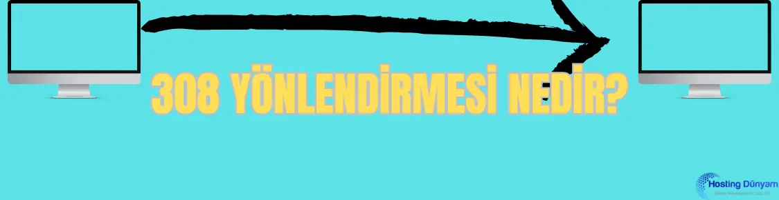 308 yönlendirmesi nedir
