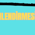 307 yonlendirmesi nedir