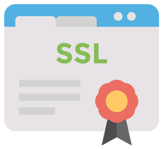 SSL Sertifikası Türleri Nelerdir?